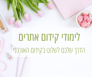 לימודי קידום אתרים